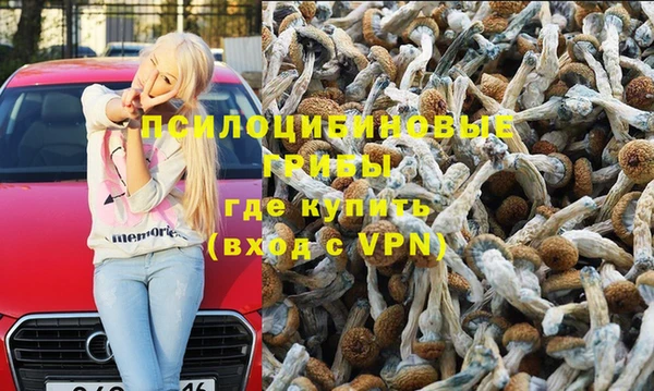 каннабис Арсеньев